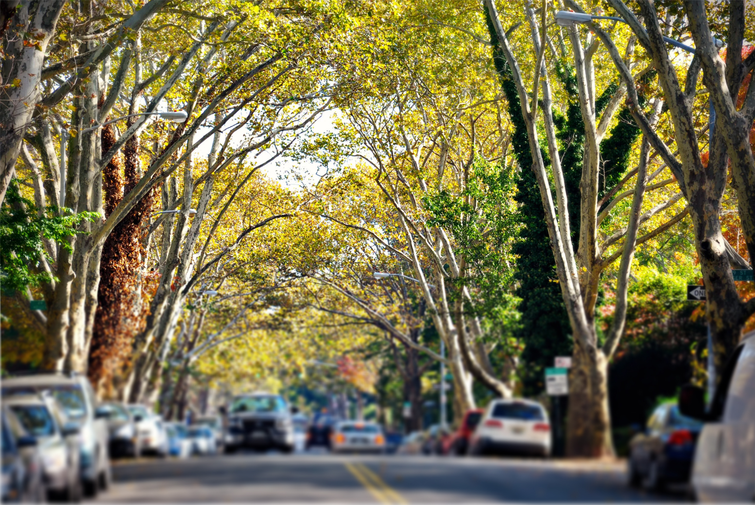Picture of a street  in Sunnyside, Queens, New York City. This is a neighborhood Lillian Vucic can offer real estate services in. 